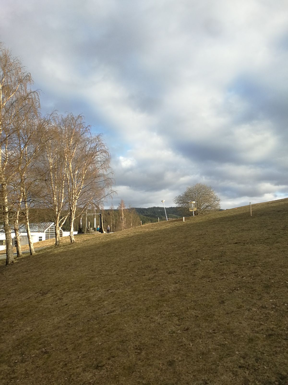 Fairway hole 11