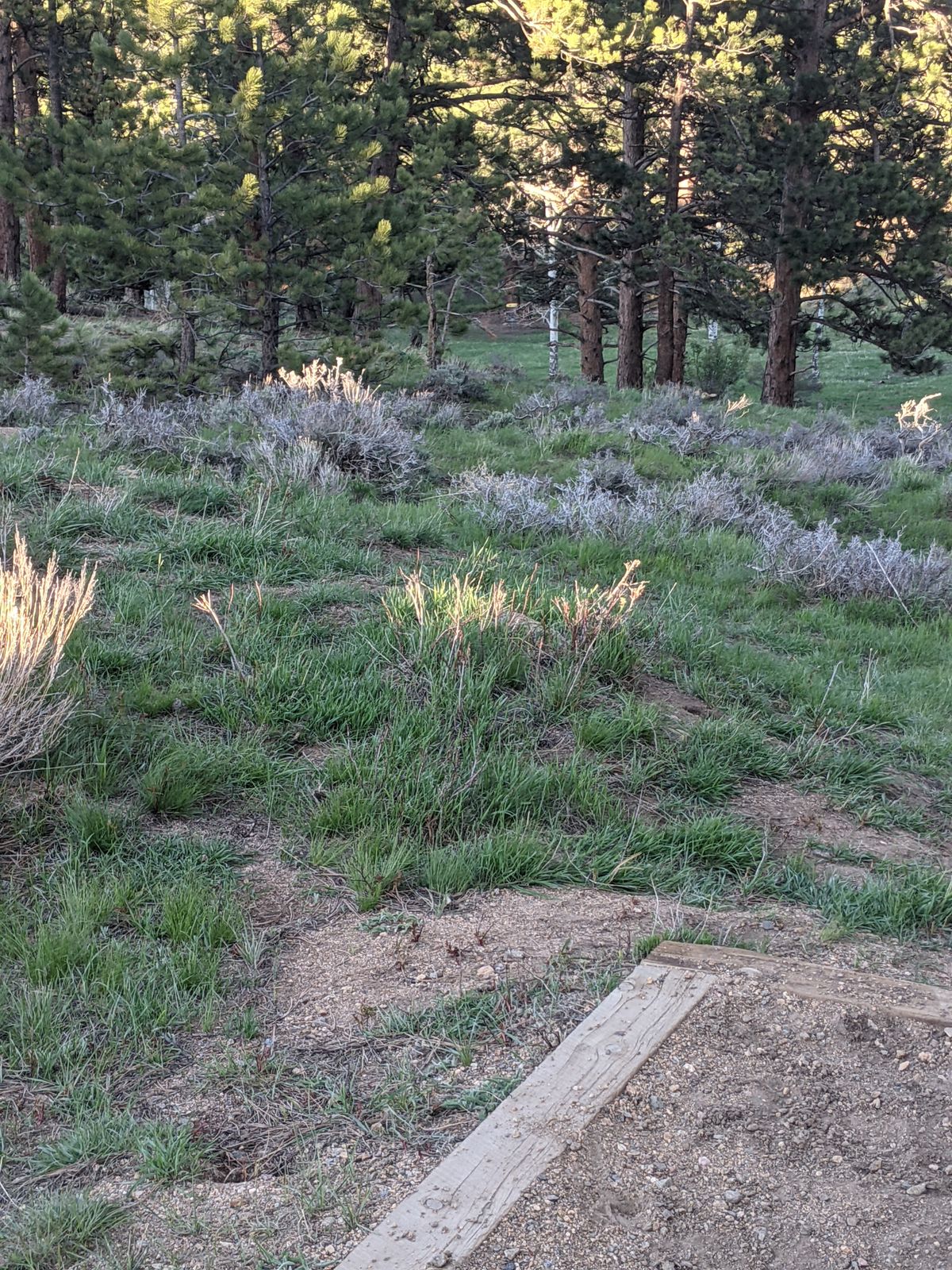 Hole 17