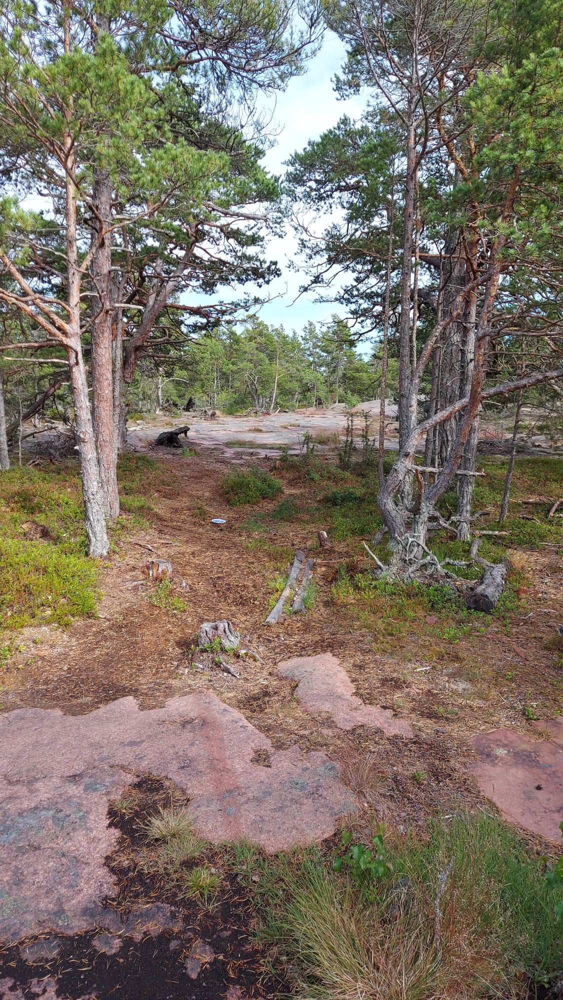 Väylä 4 (kuva otettu heinäkuussa 2024)