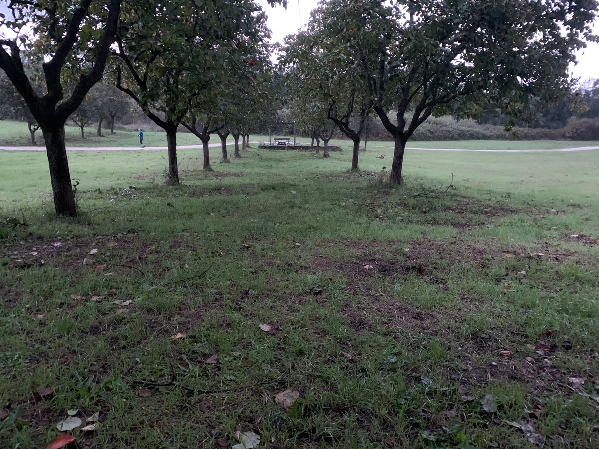 Tee of hole 6 looking toward basket