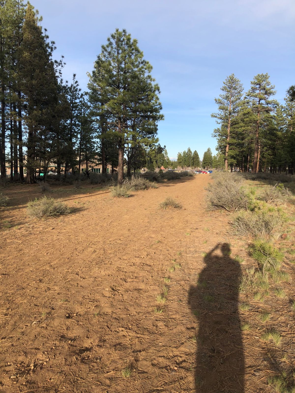 18 fairway