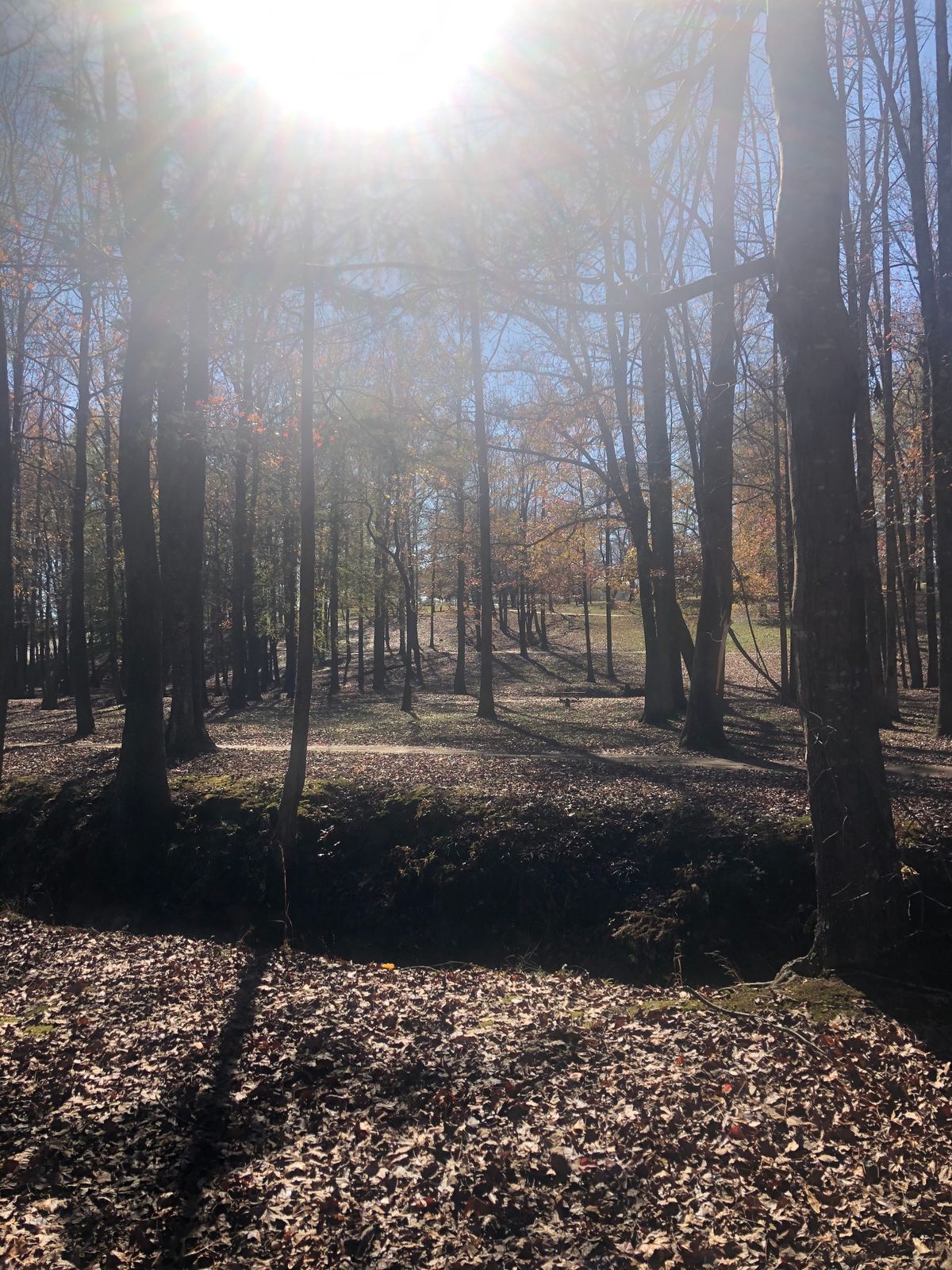 Hole 14