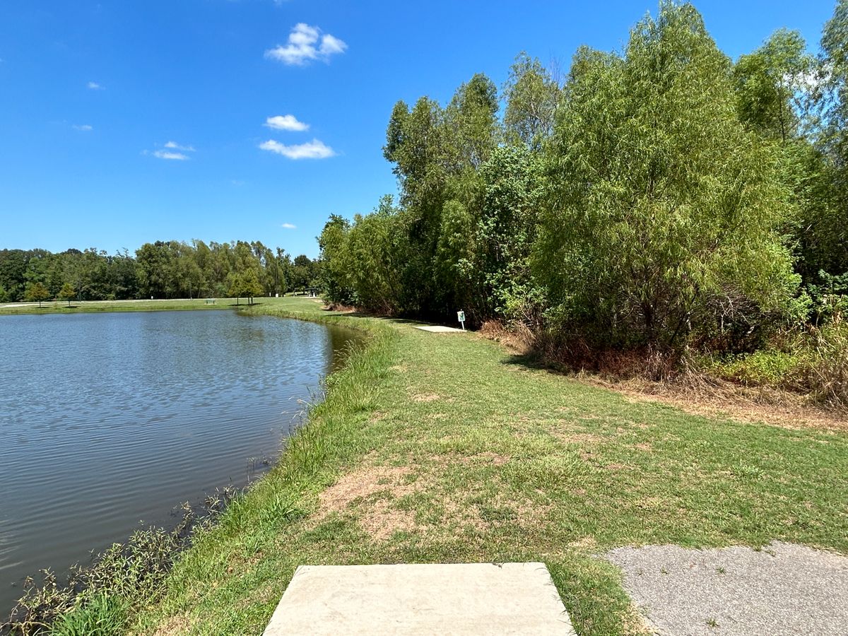 Hole 9 Fairway (White)