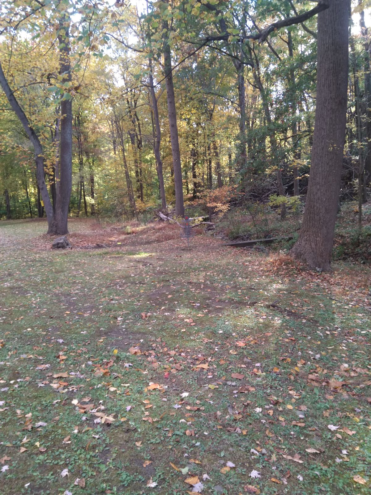 Hole #3 basket