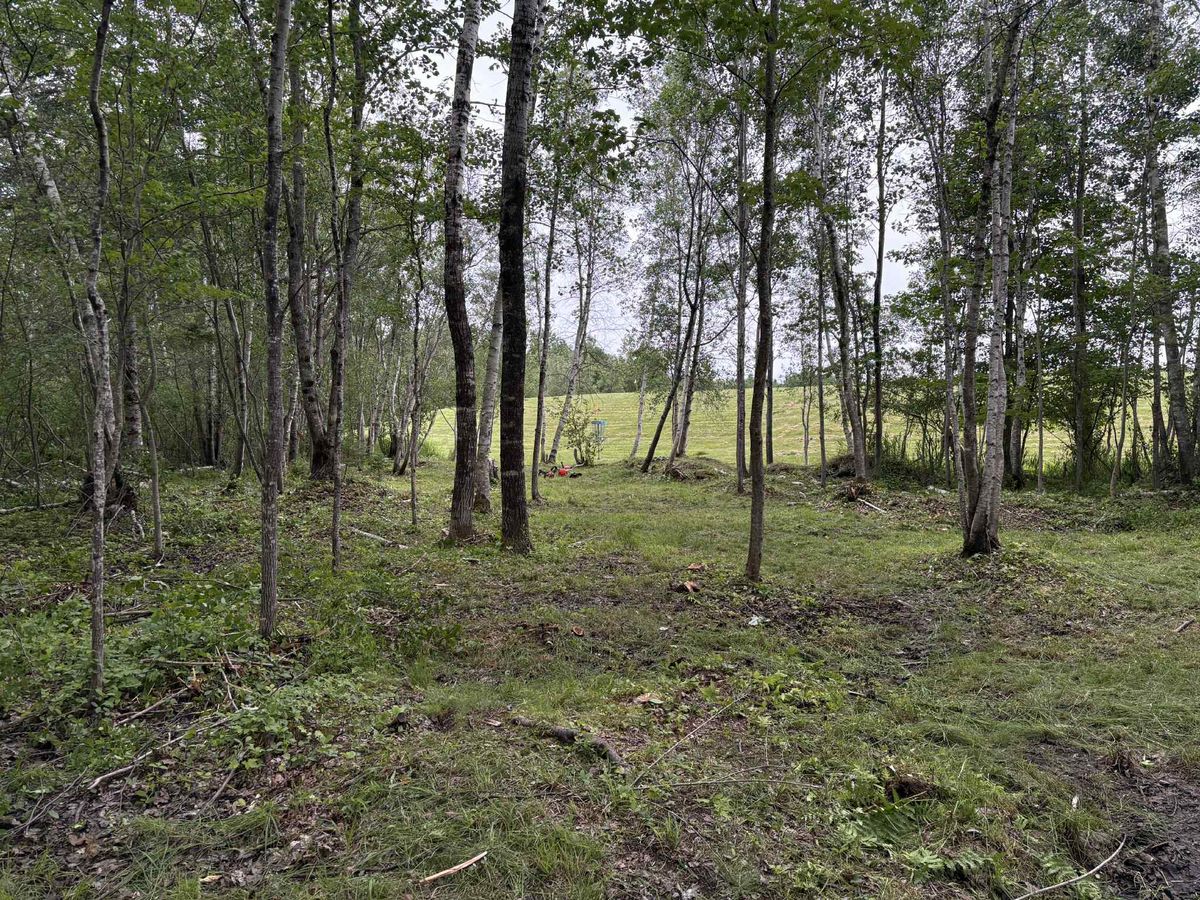 Fairway hole 7