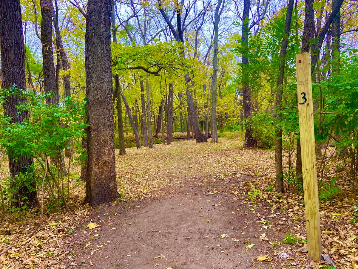 Hole 3 looking towards basket.