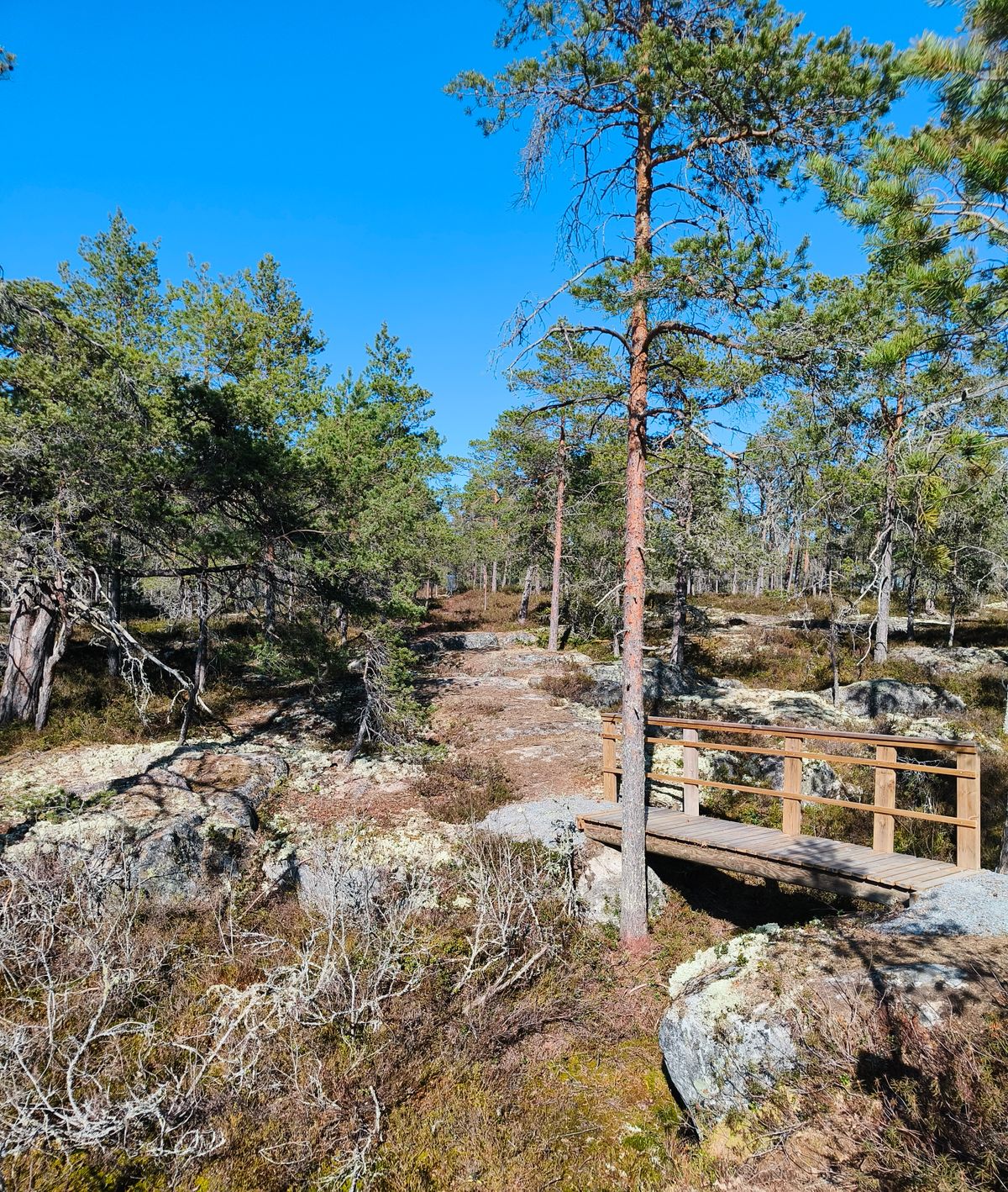 Pisin väylä