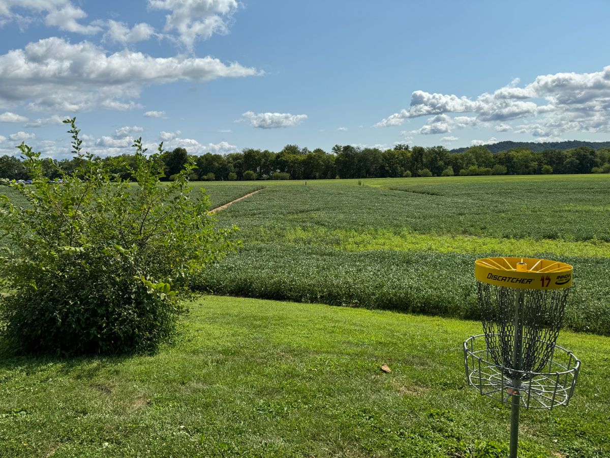 Hole 17 Basket to Tee