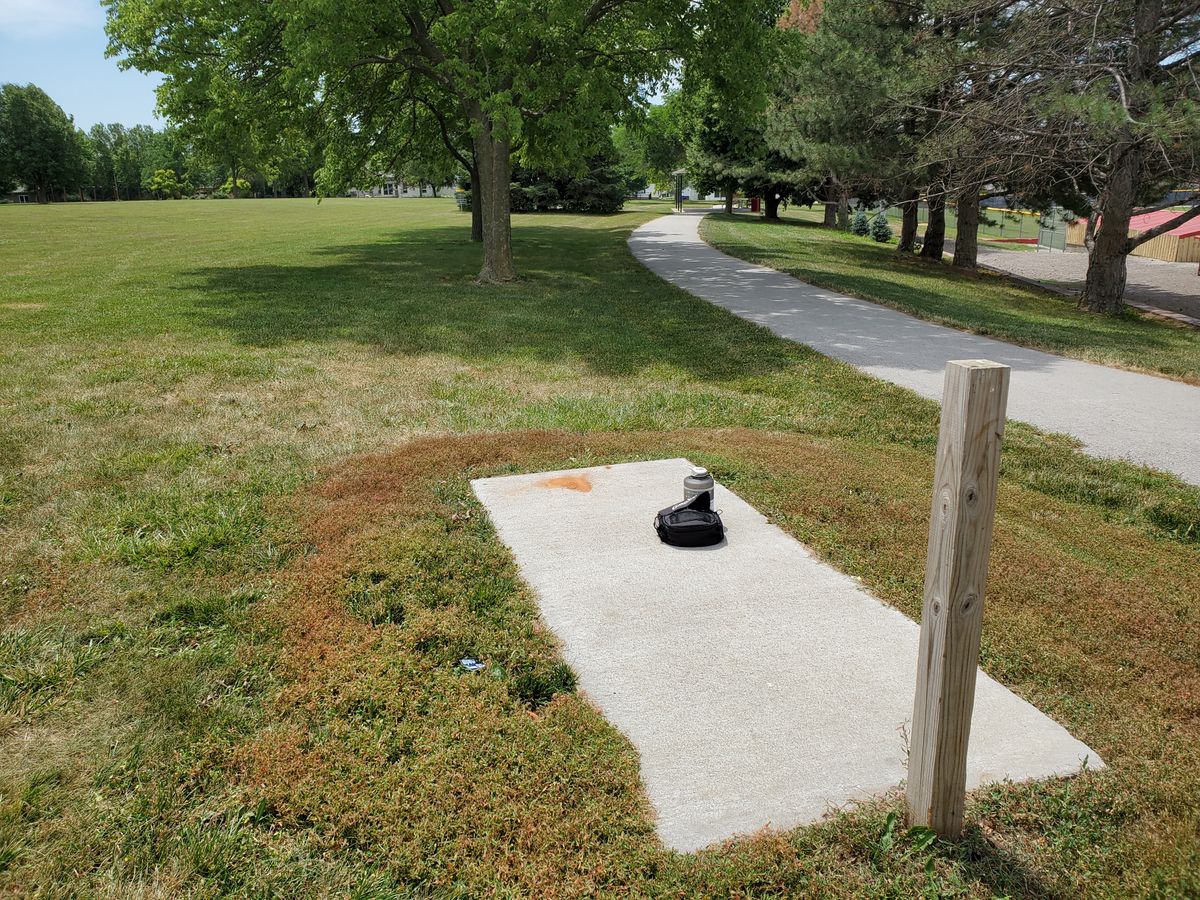 Placement between start off and basket hole is Rows of Trees...
