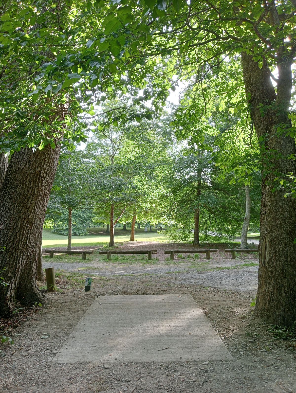 Hole 12 Tee