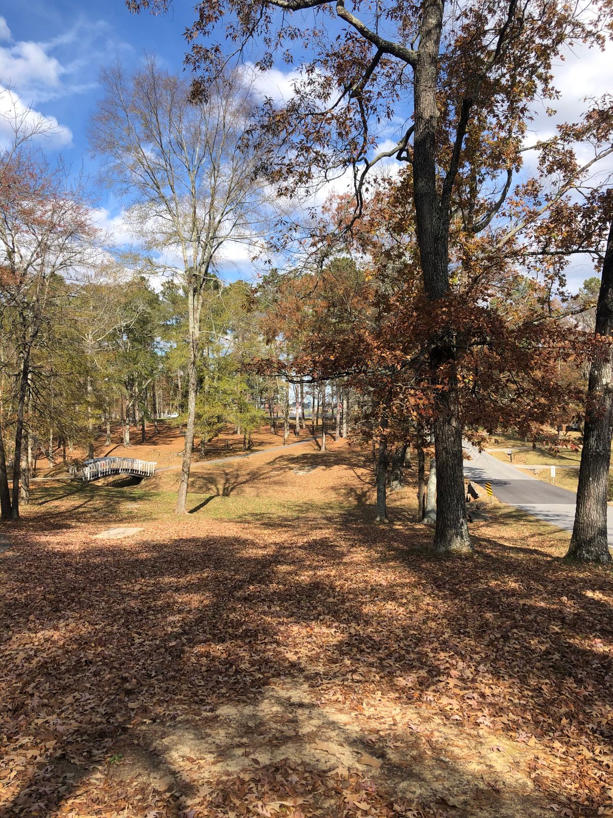 Hole 10