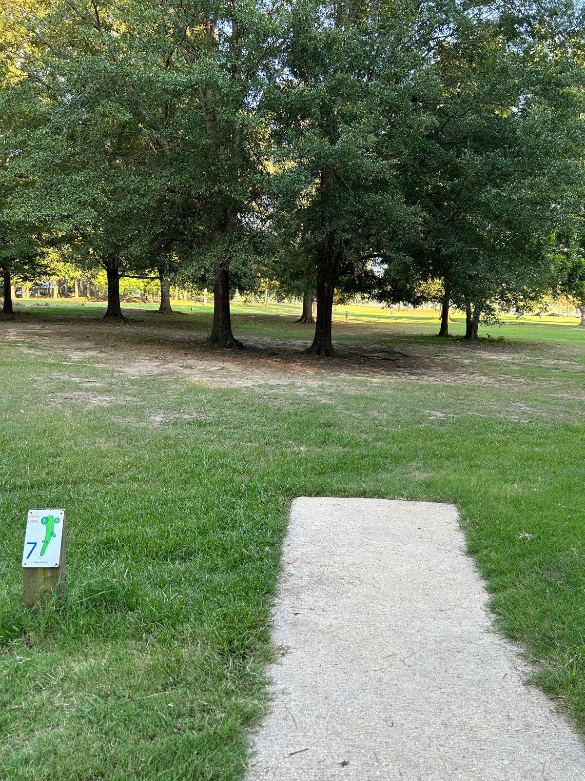 Hole 7 Throws back down the hill with a low canopy in play. Wide spike hyzer is available