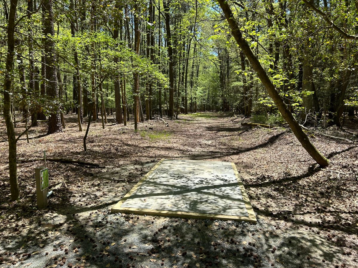 New tee pad for the tunnel shot on 13