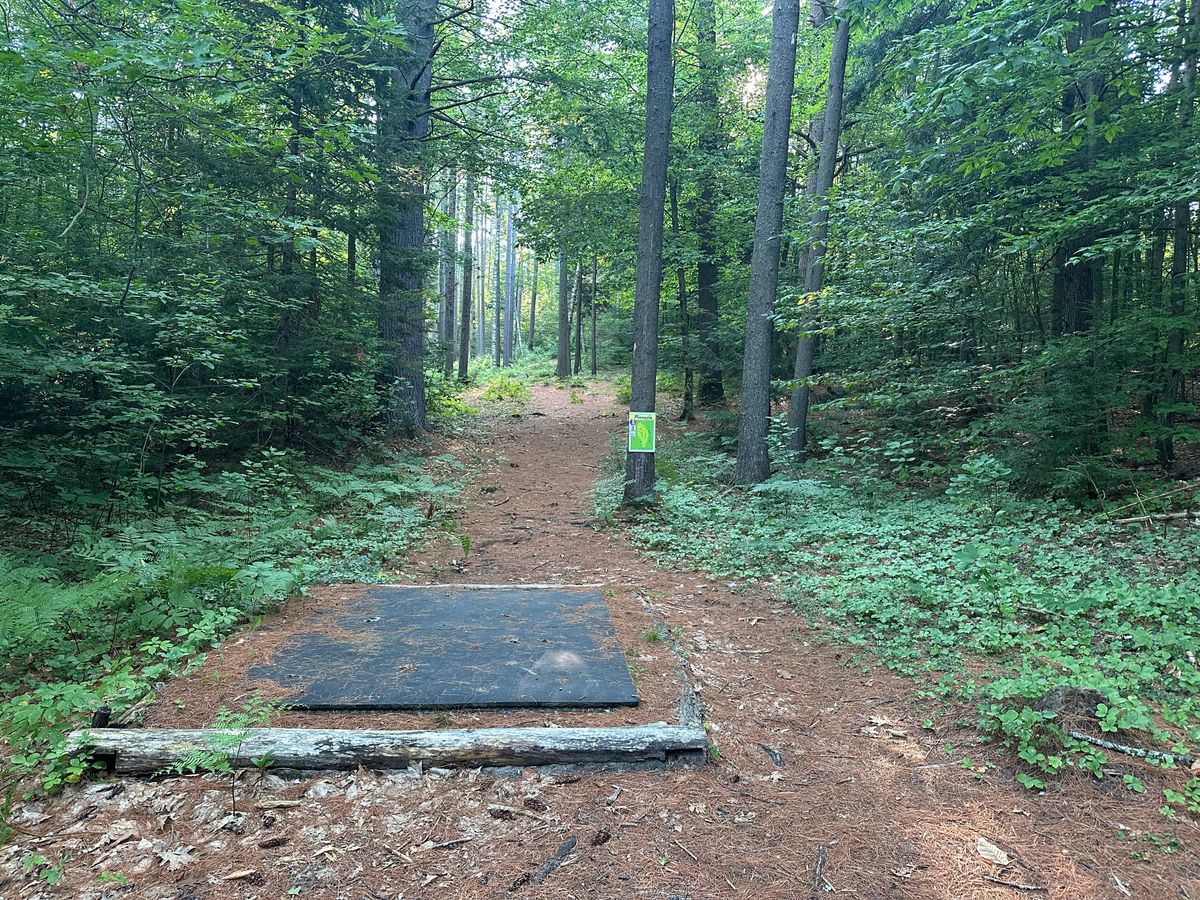 Tee pad 8