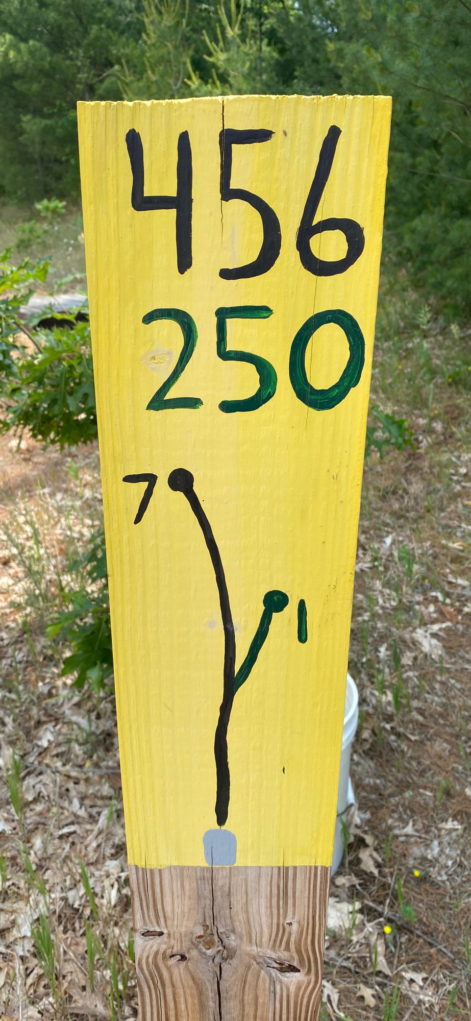 Shared tee pads