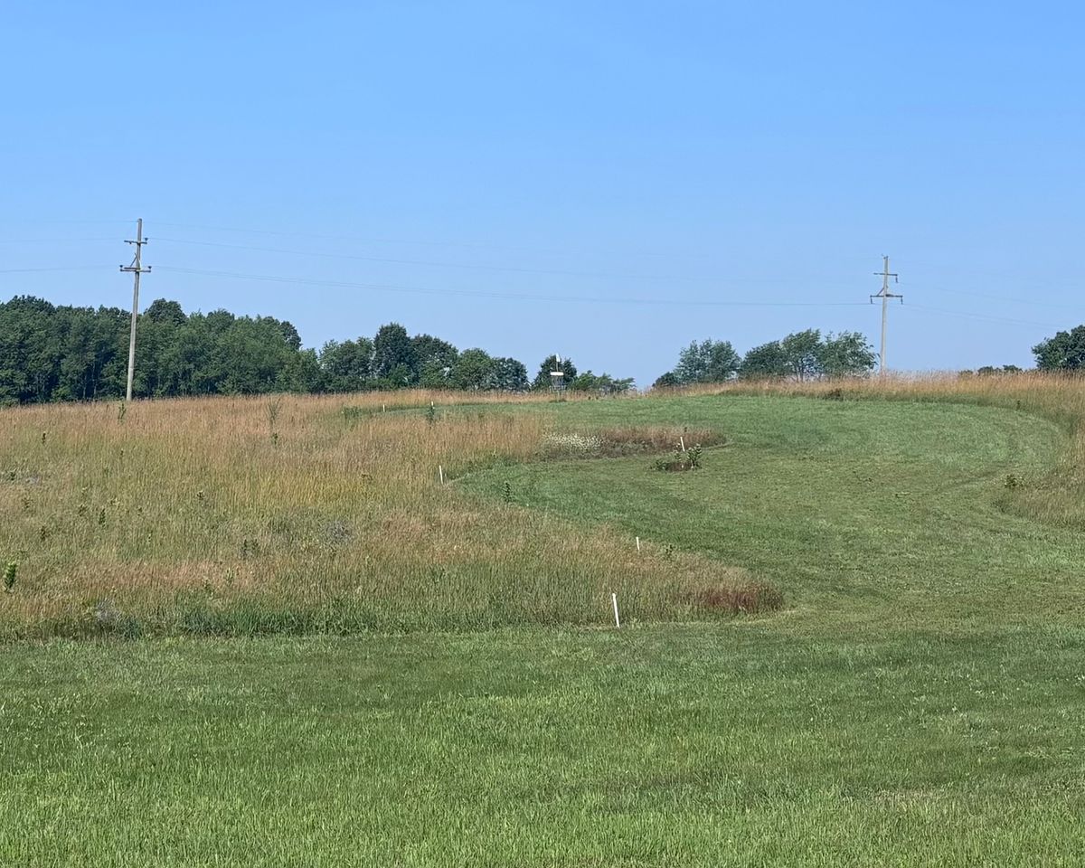 Hole 5 from the corner looking up the fairway to the basket with the entire left side marked OB.