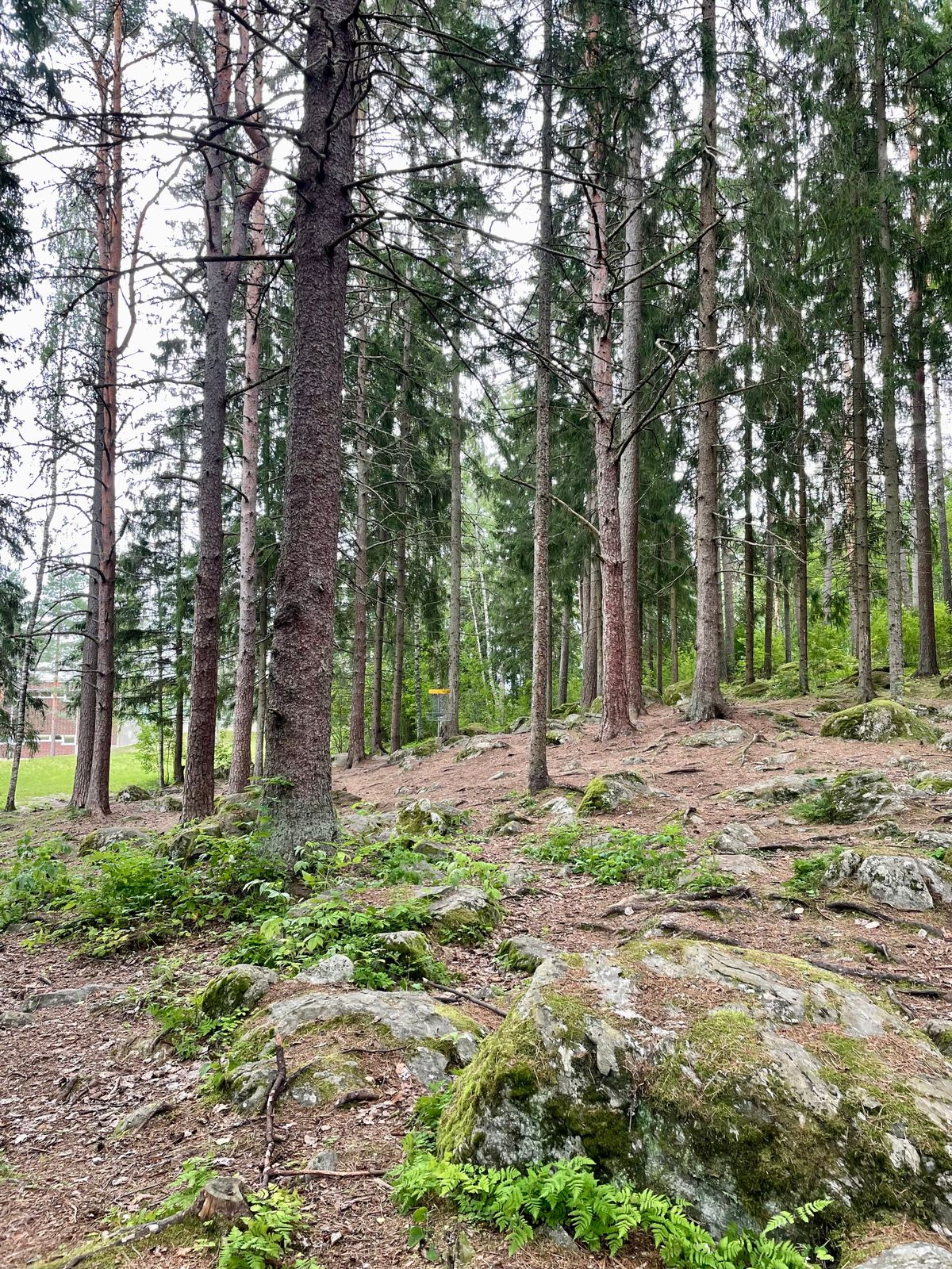Väylä 9