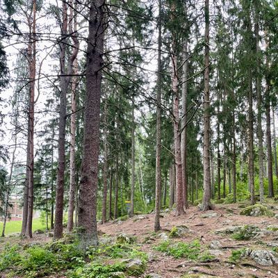 Väylä 9