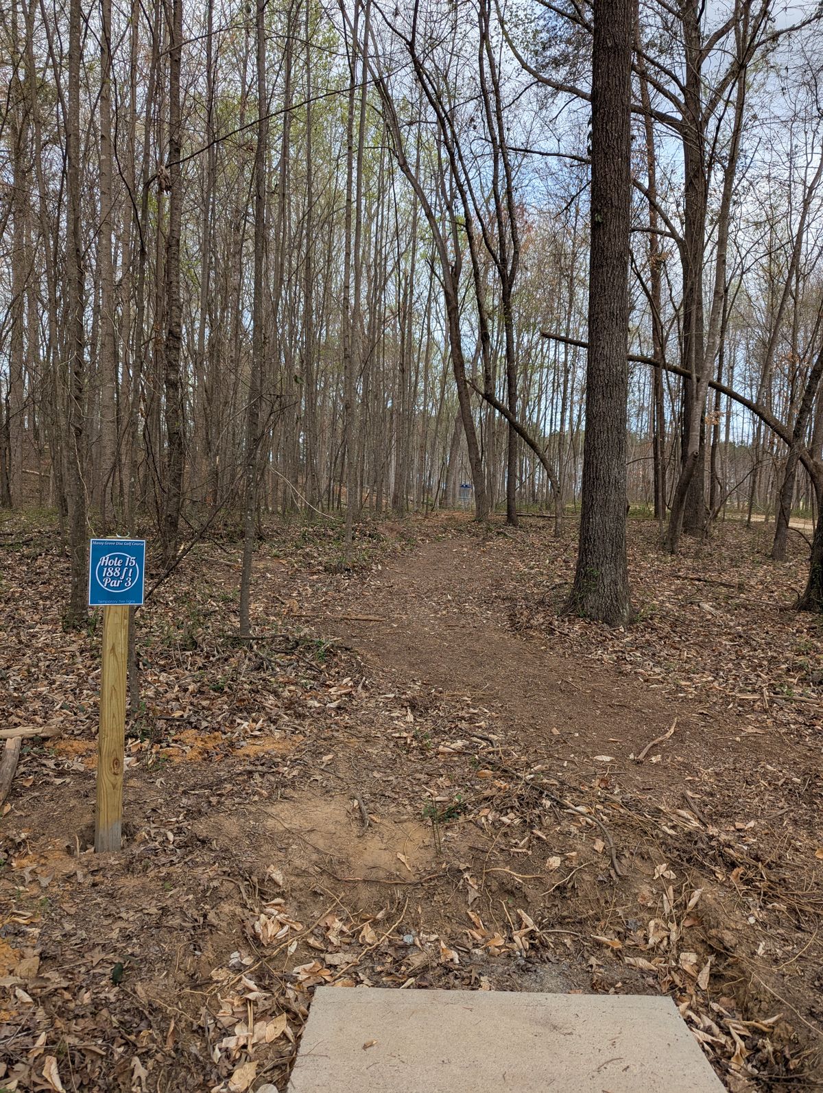 Hole 15