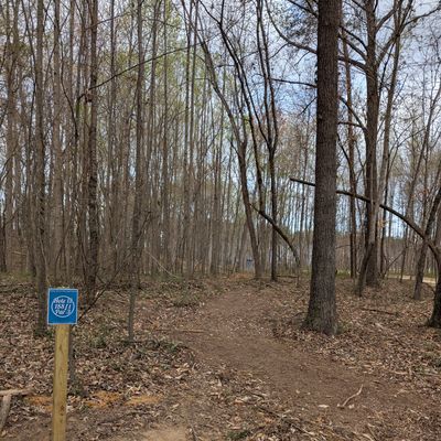 Hole 15