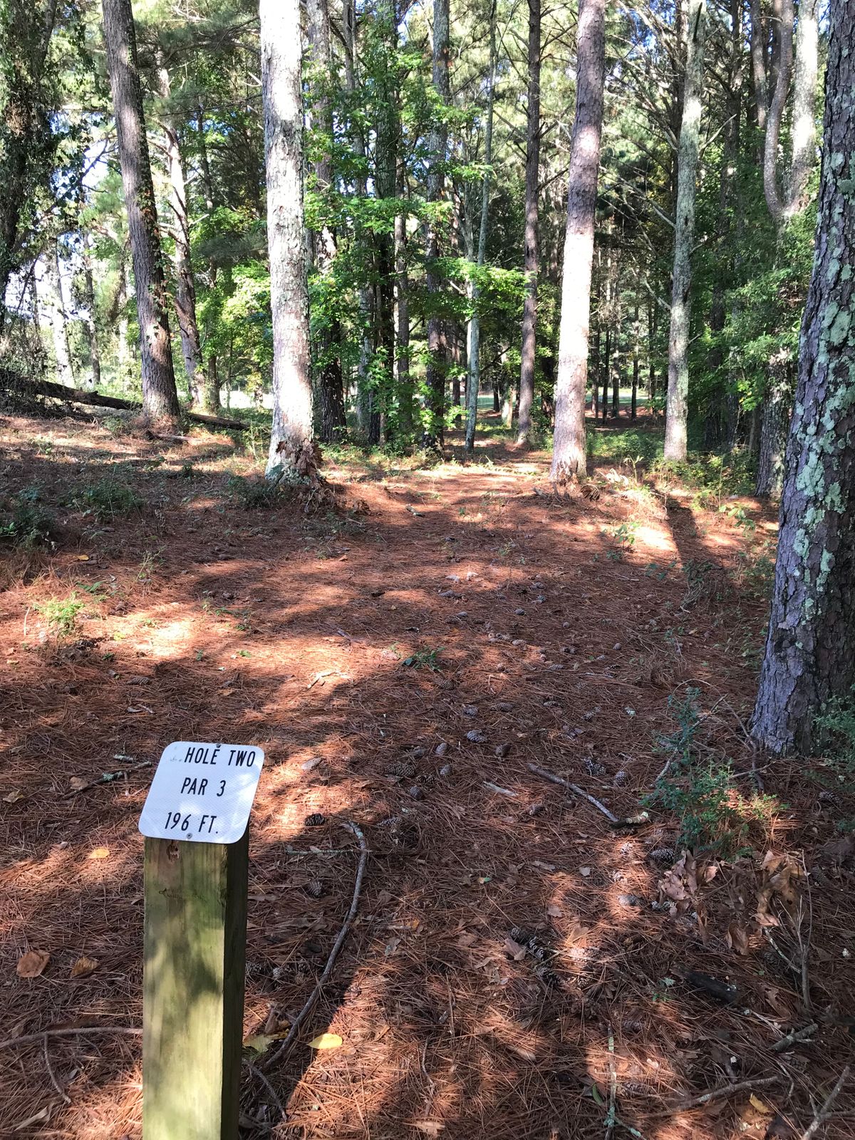 Hole 2 tee pad in directly down the hill from 1’s basket. No real line through the trees.