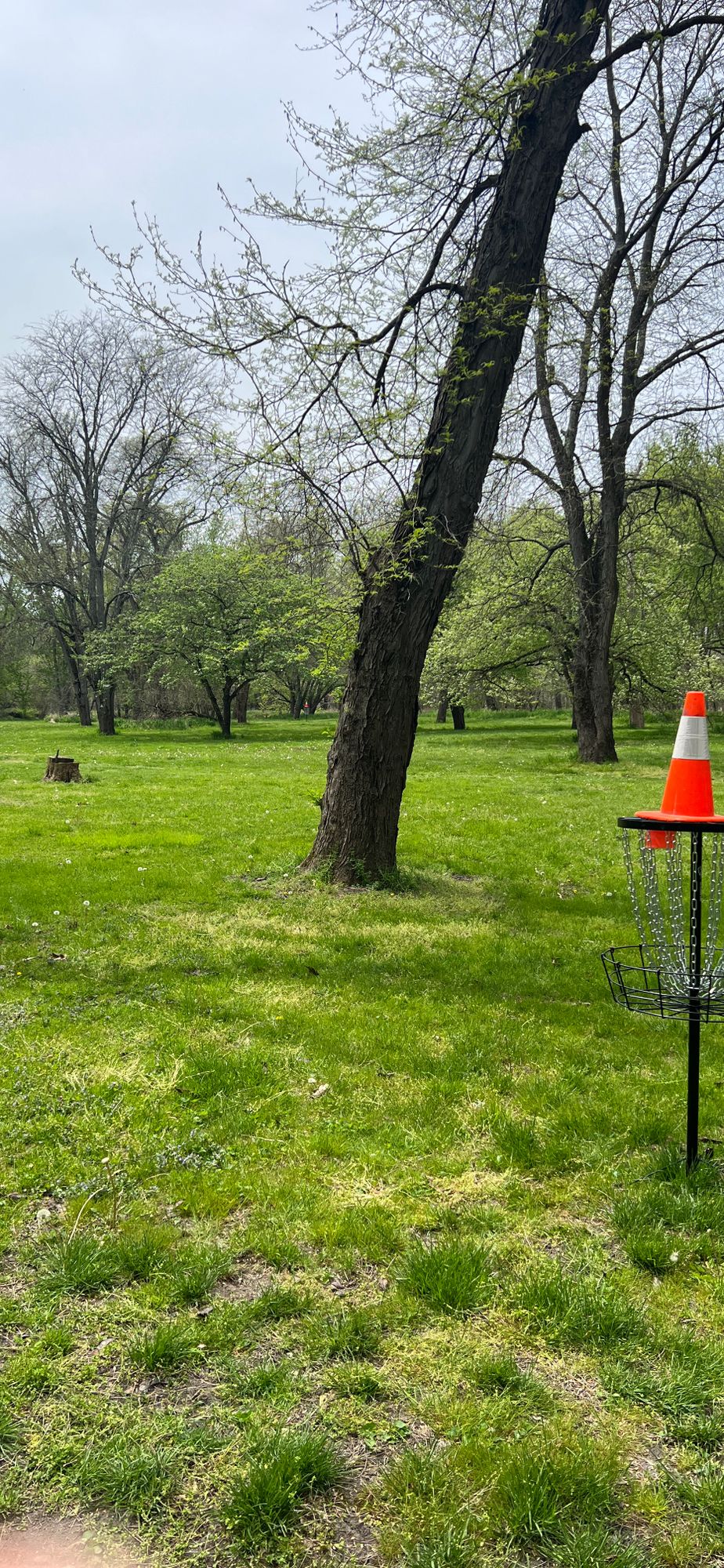 Hole 2