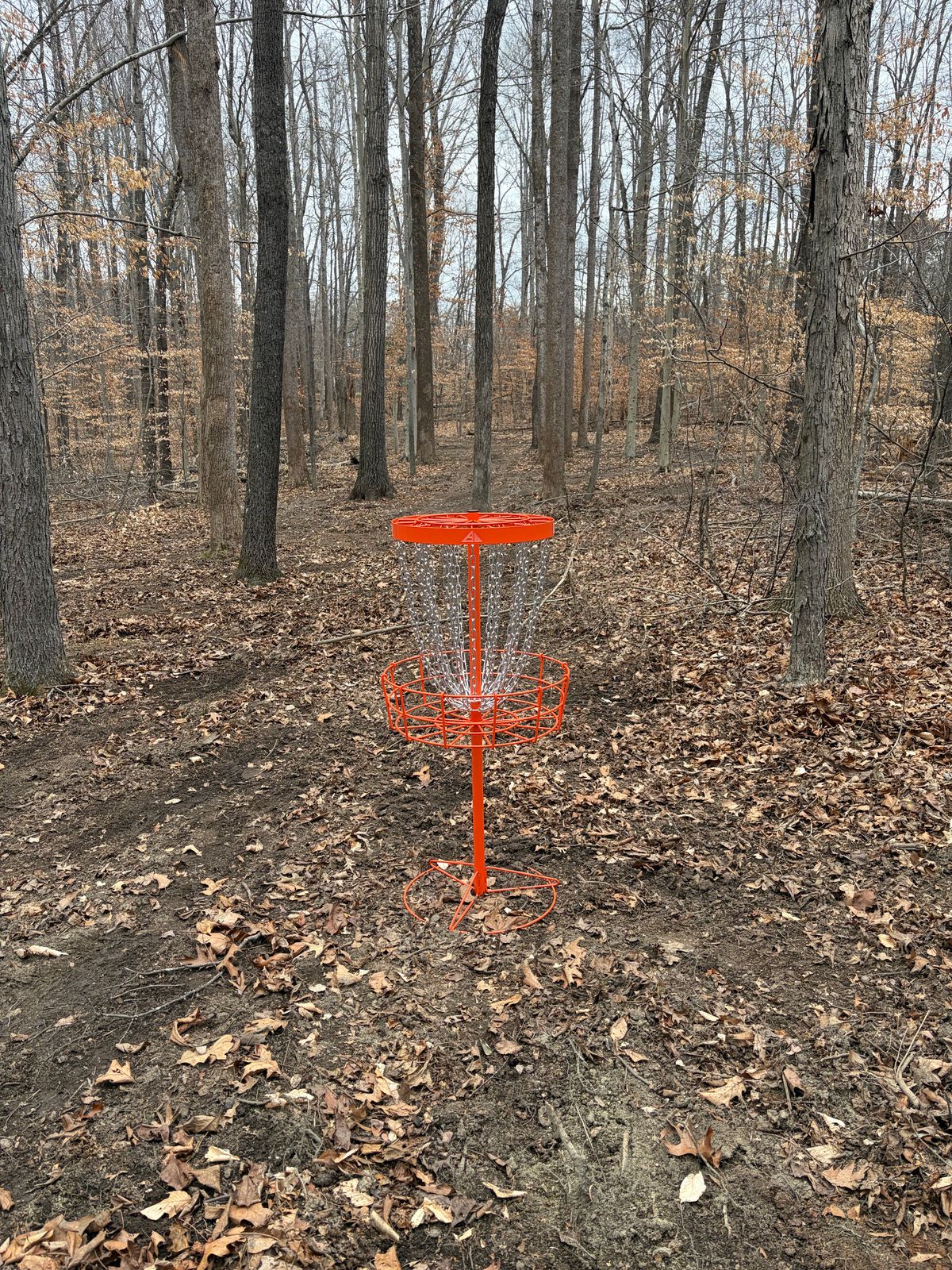 Hole 8 Basket. 