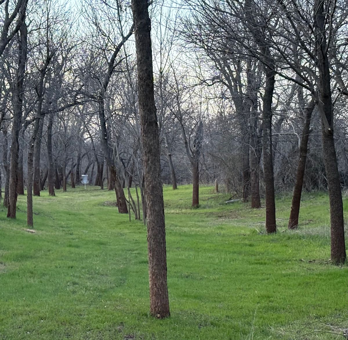 Hole #14