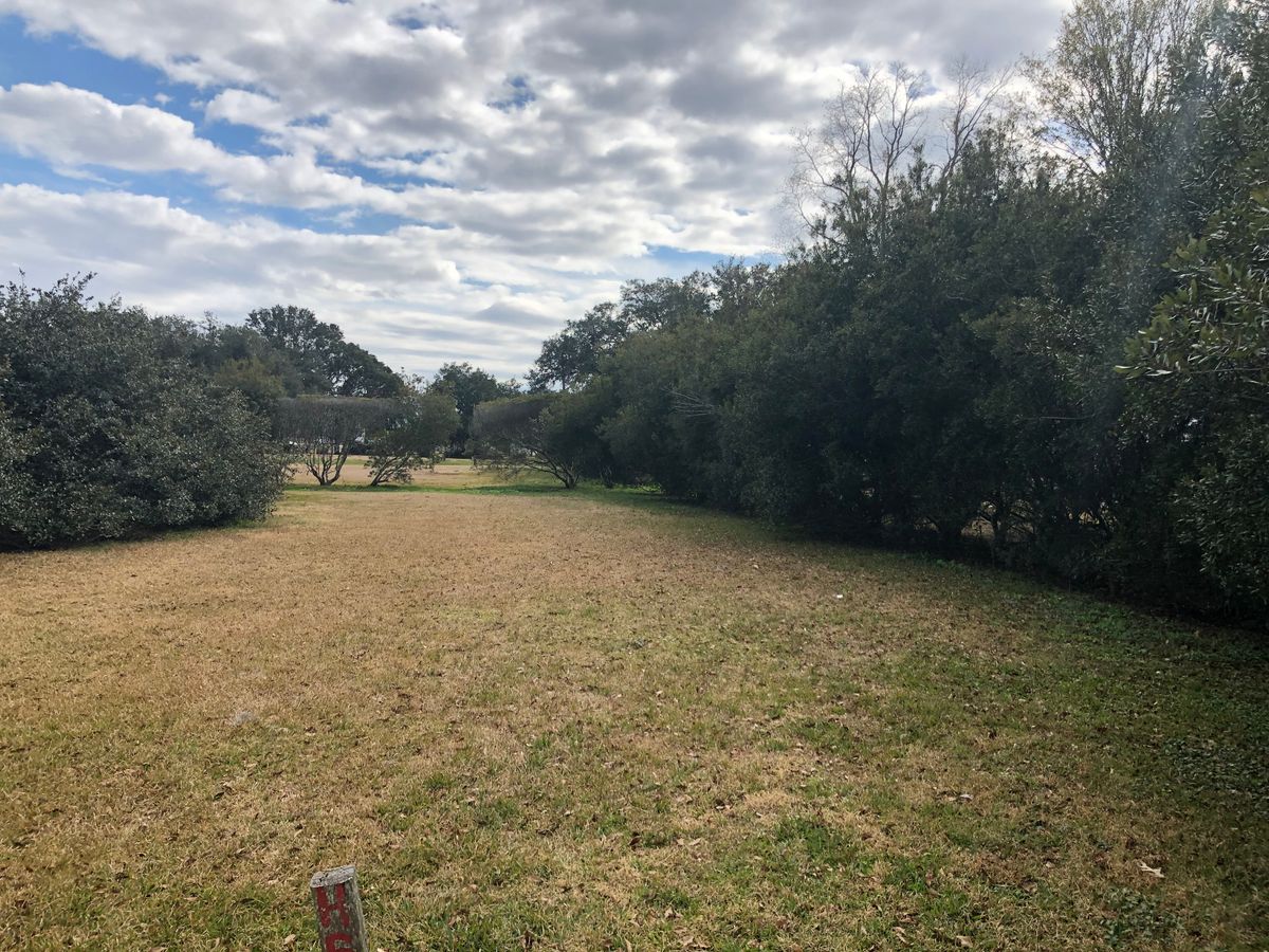 Hole 5 tee