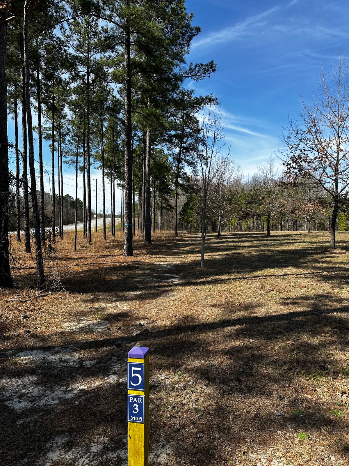 Hole 5