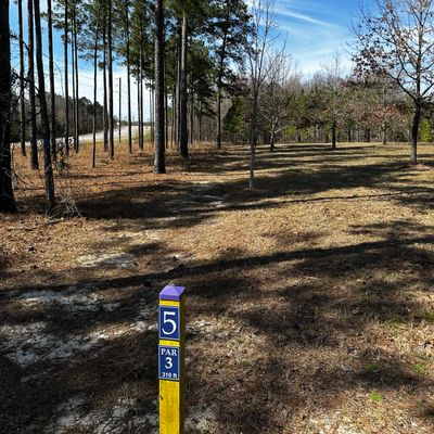 Hole 5