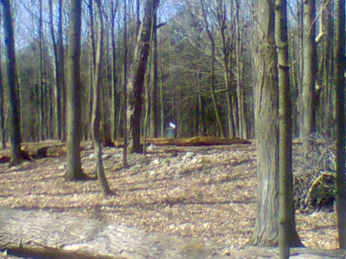 Hole 2