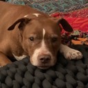 redpit