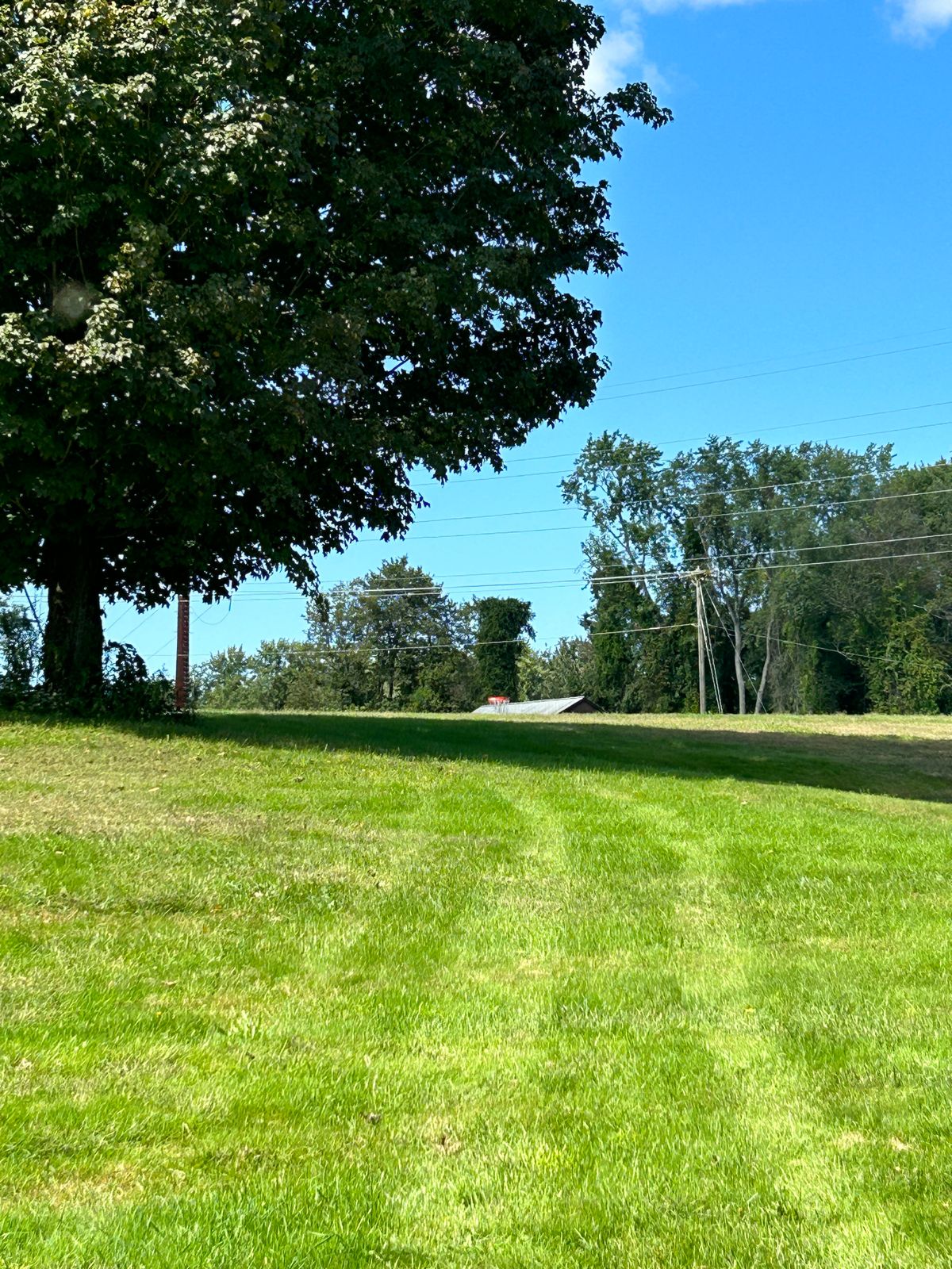 Hole 7