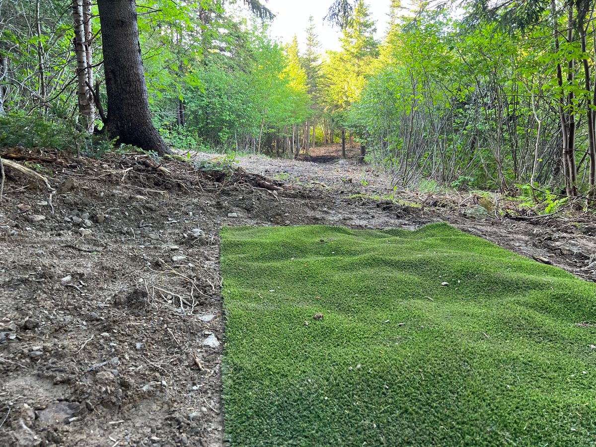 Hole 2