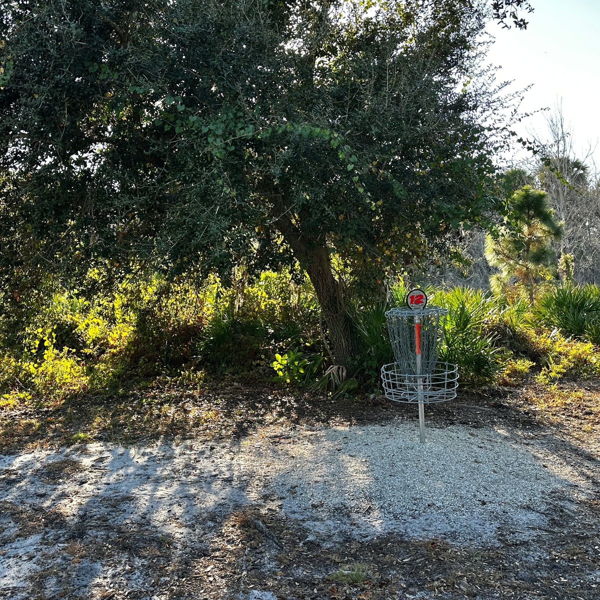 Current basket location 10/2025