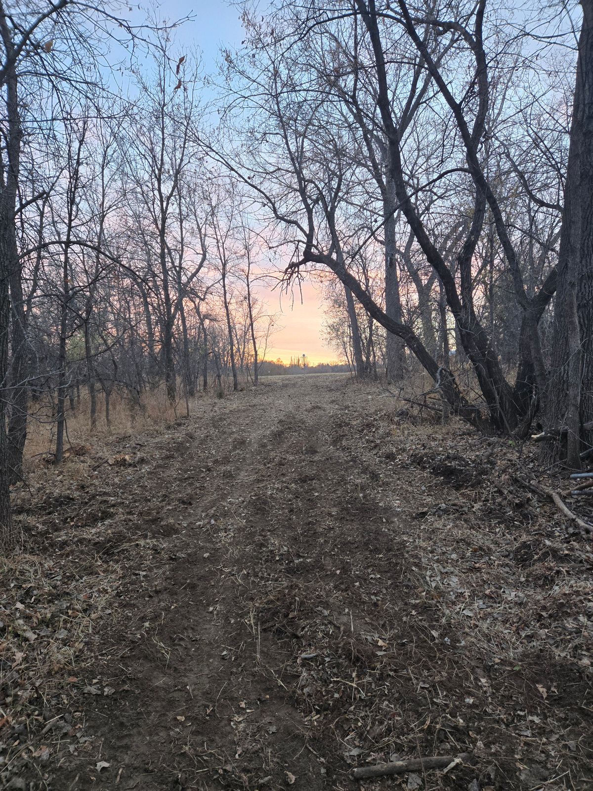 Hole 5