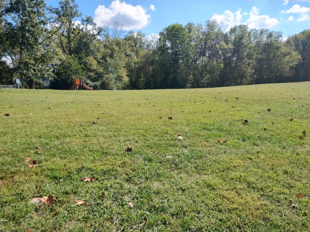 Tee pad 3. Numbered signage on ground on left