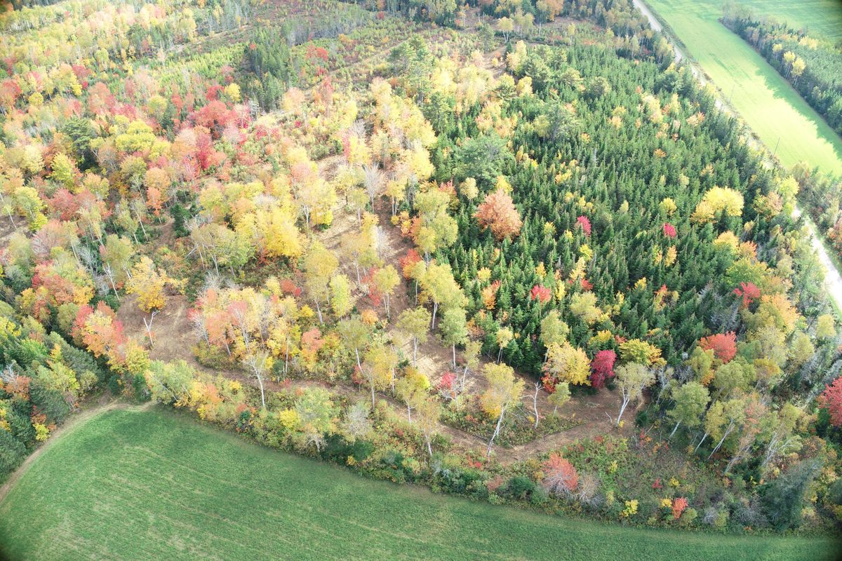 An overhead view of some of the holes on the north side of the property.