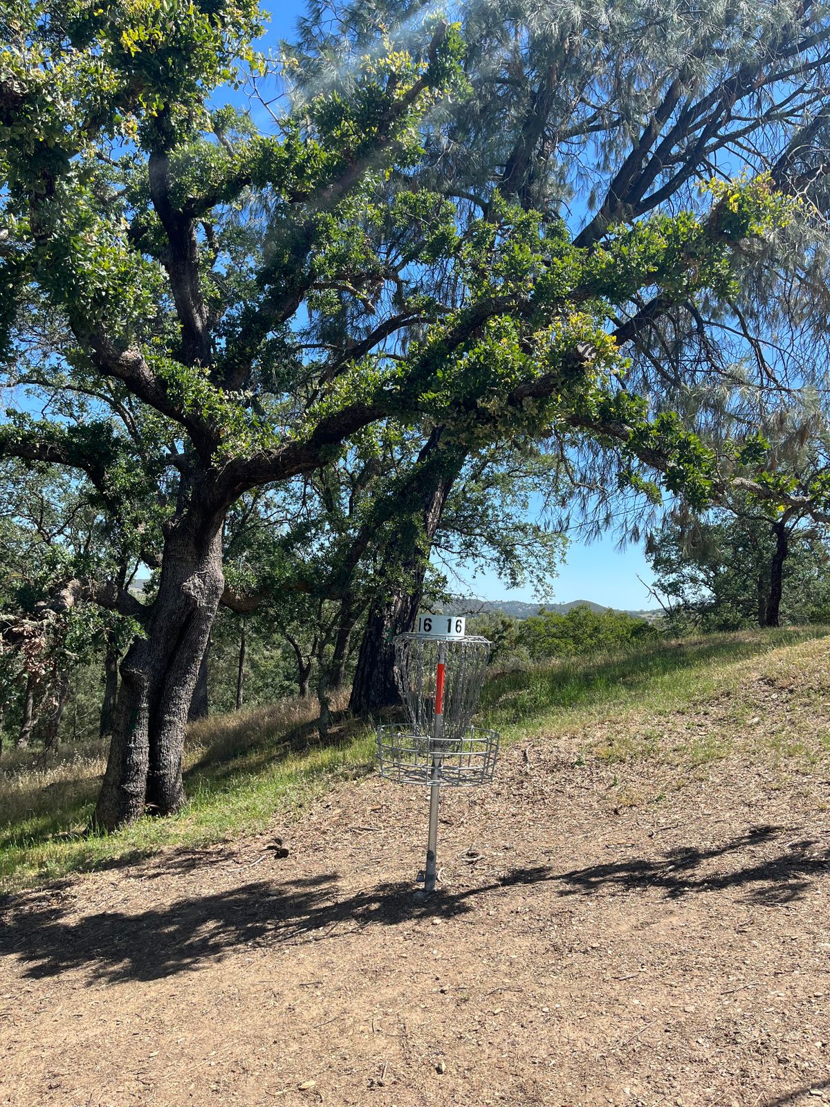 Hole 16