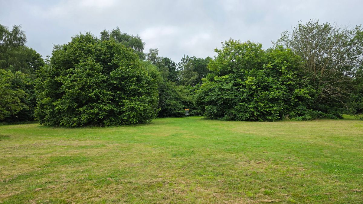 2 - fairway