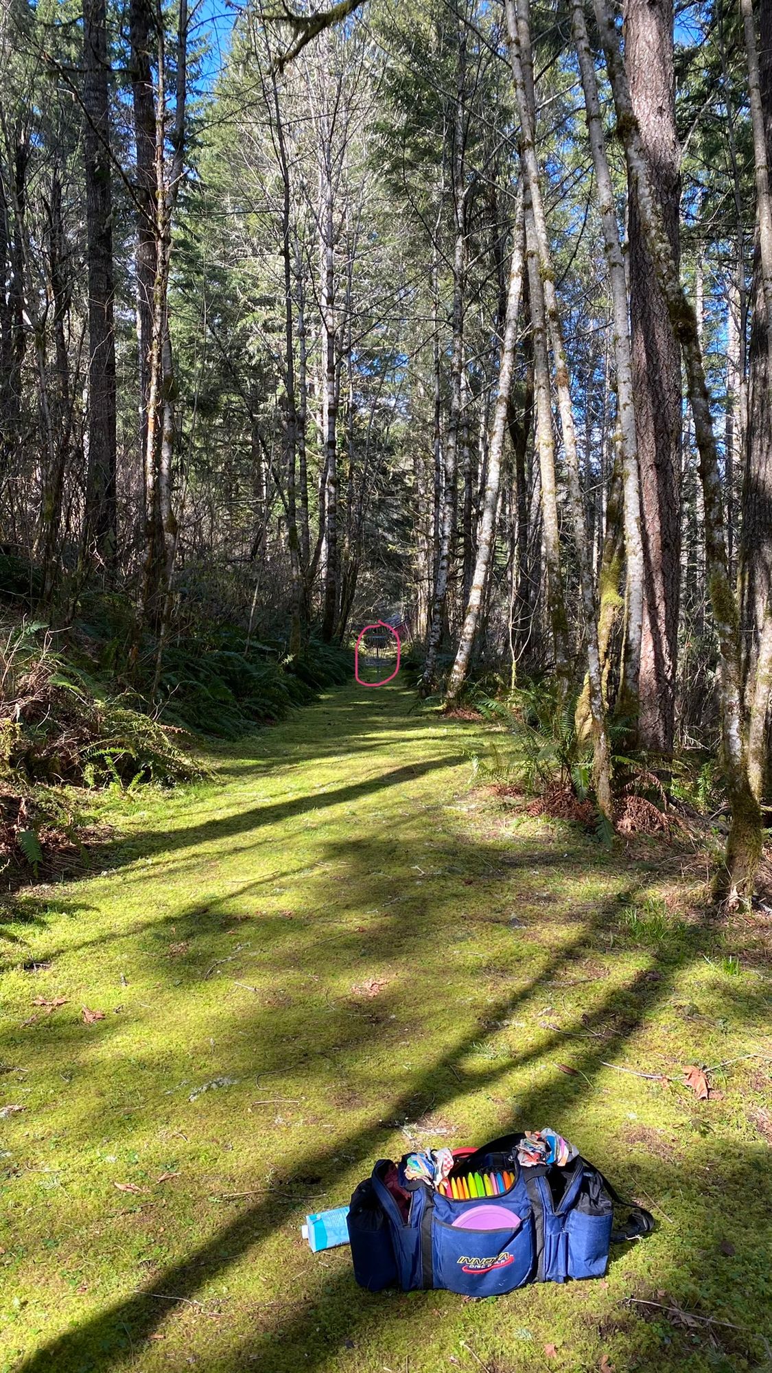 Hole 18 just passed the shed. The narrow path to the basket.