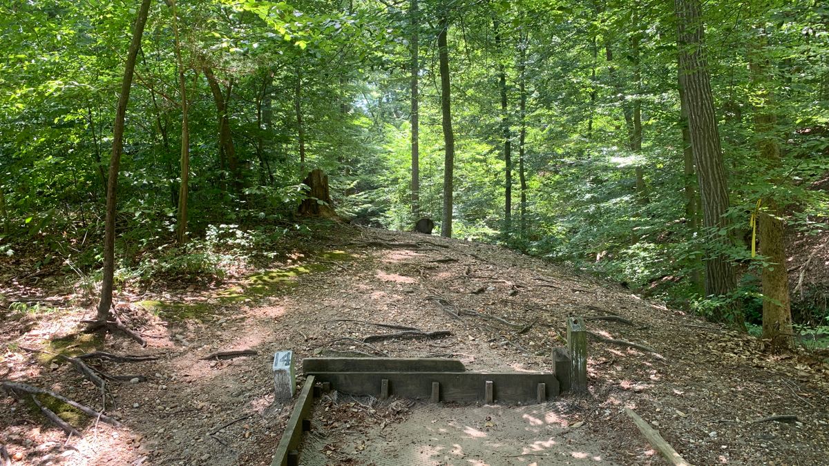 Hole 14