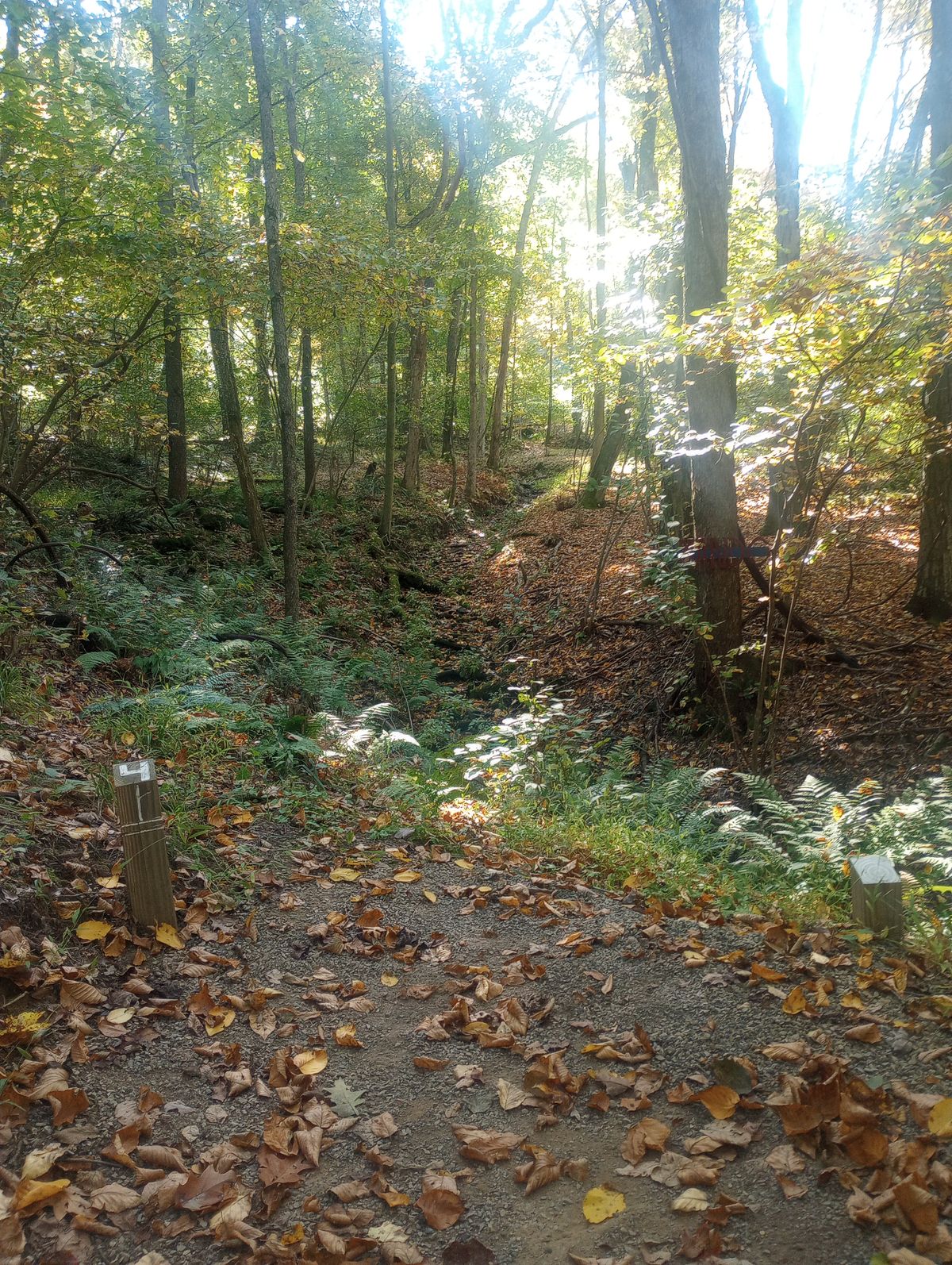 Hole 4 (fall)