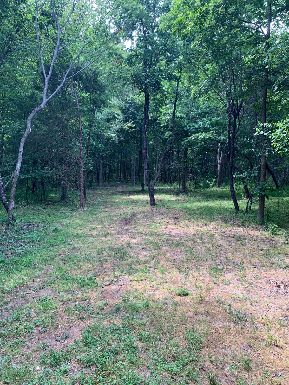 Hole 13 approach