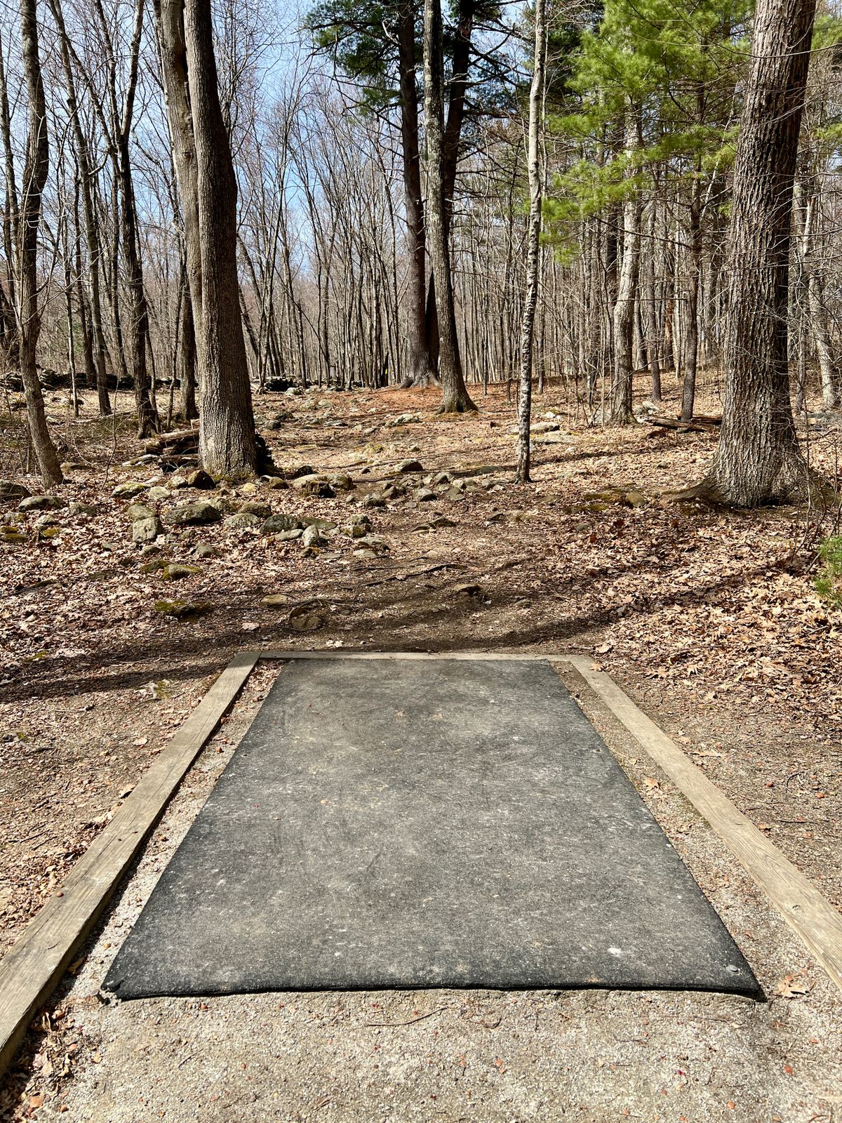 Hole #3 Tee Box