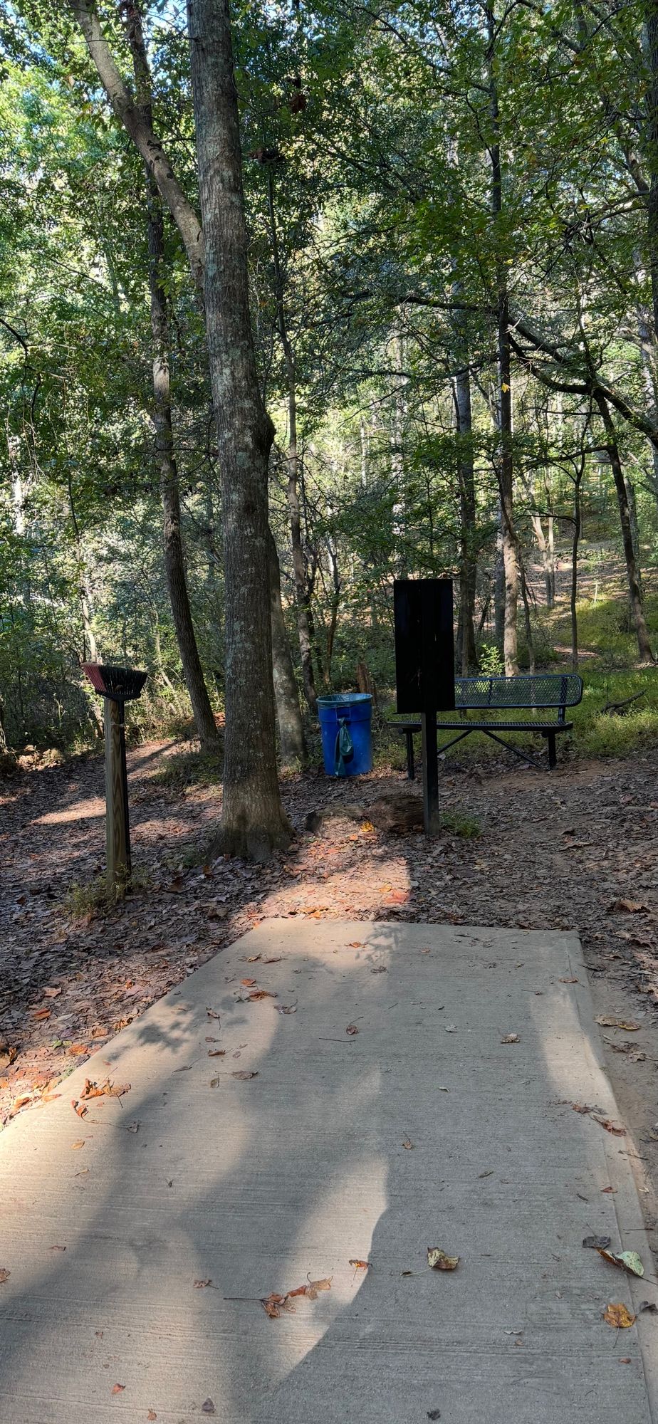 Hole 8 tee box area