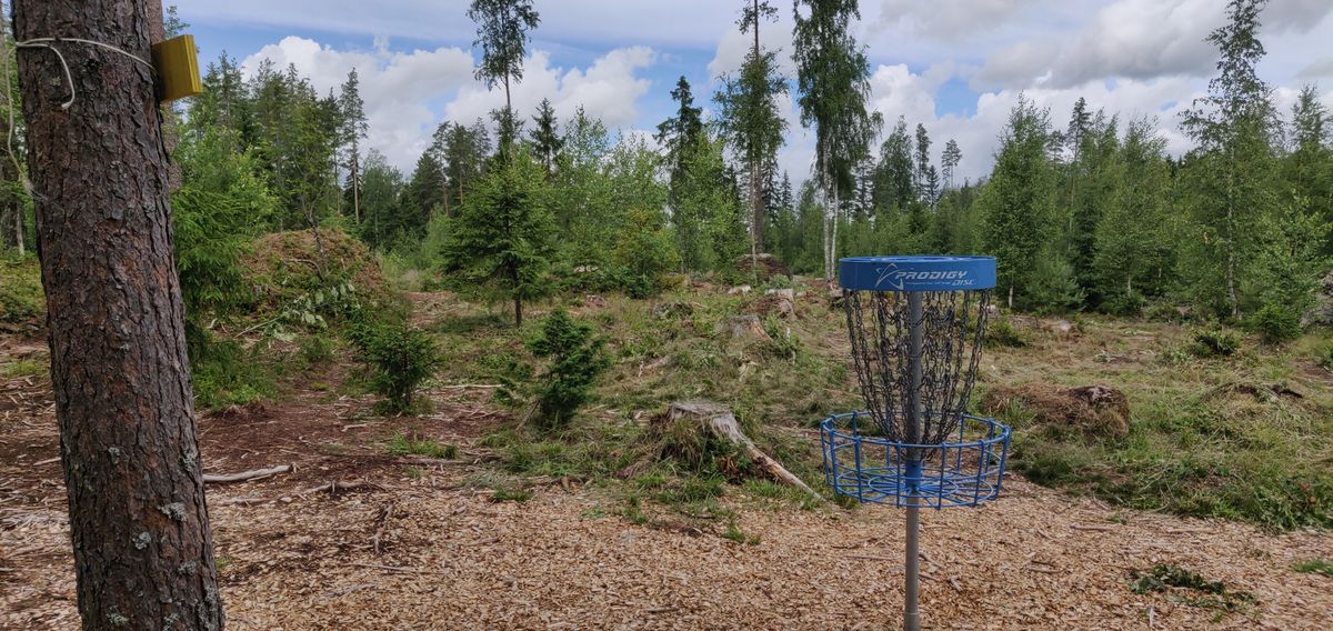 Hole 4 (backwards)