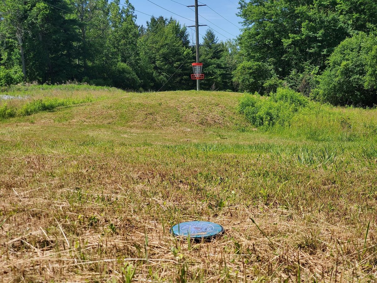 Hole 7 basket.