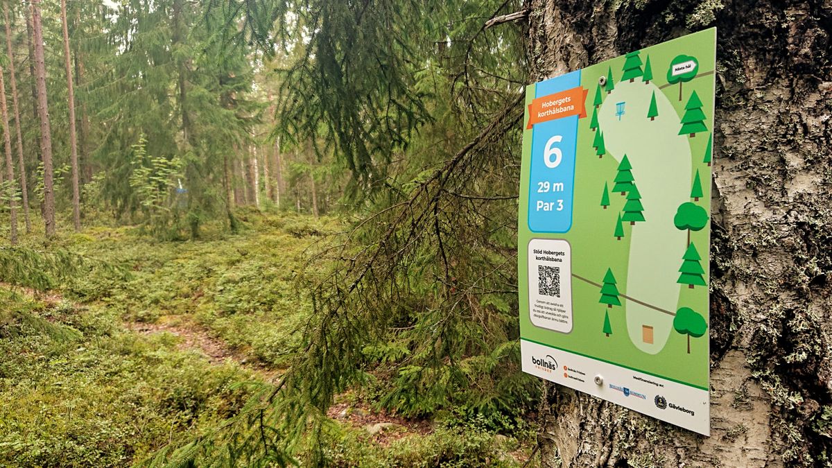 Hålskylt hål 6